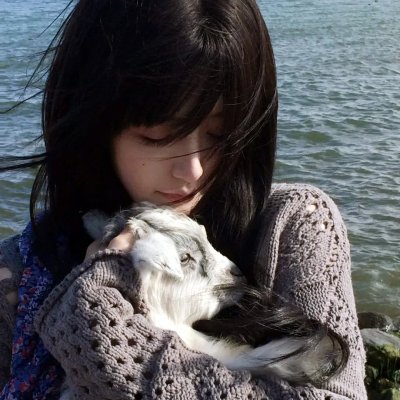 男子游泳部：最后的划水 剧场版前篇