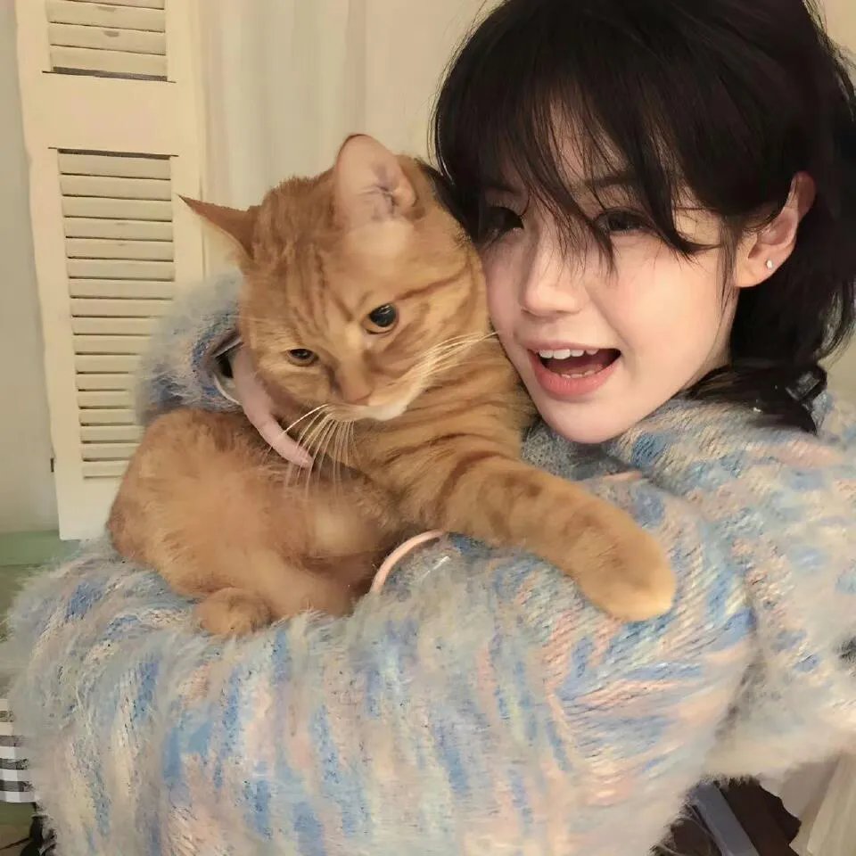 我与尾巴与神乐坂